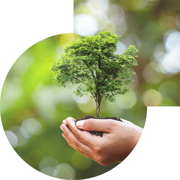 �P��������Ļ����h���c���