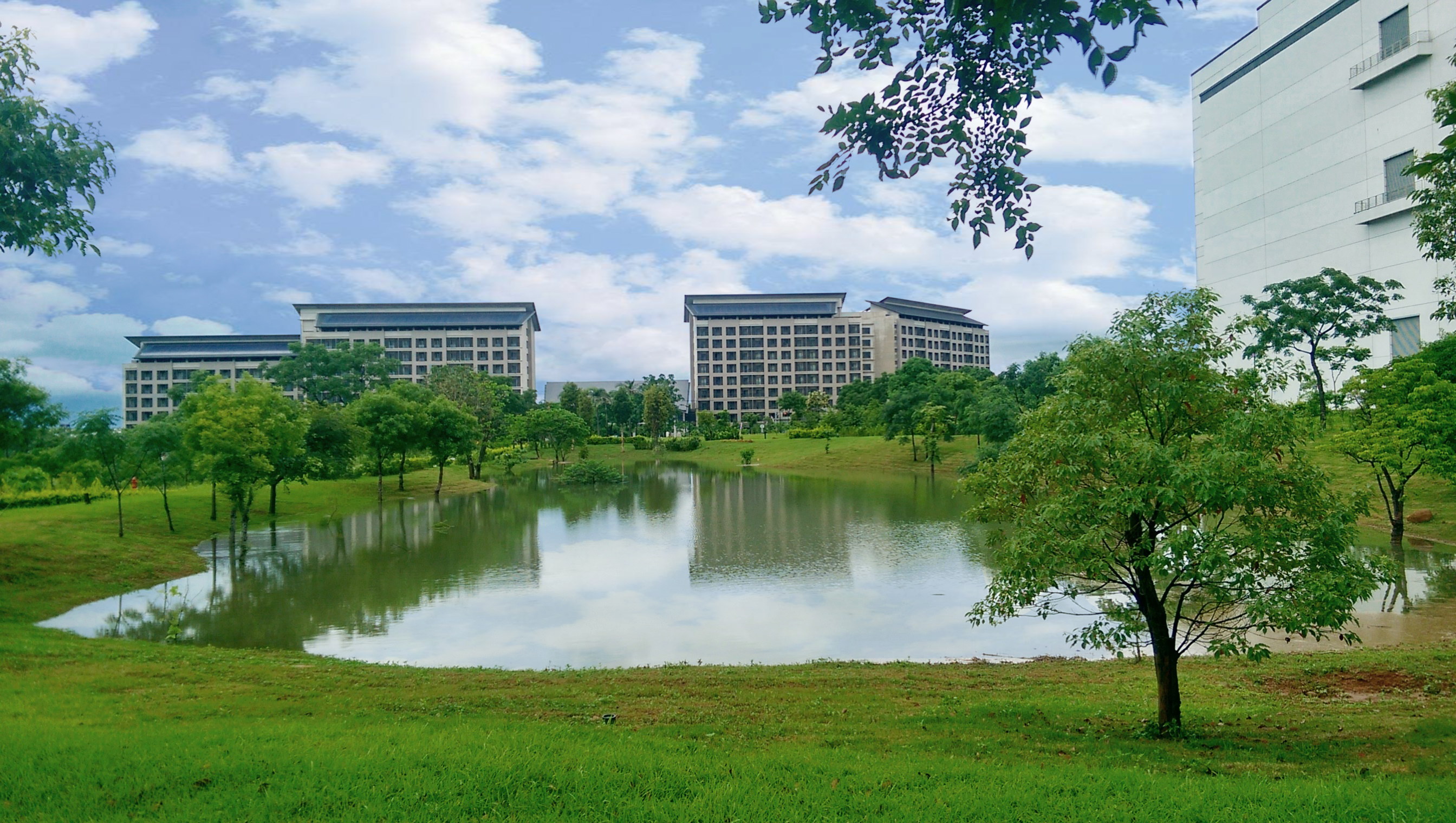 LEYU�پW푑����H���h���������څ�����״ΰl��TNFD��Ȼ���Pؔ�ս�¶������뢄����_չLEYU�پW�������������֮���Z�����~���c��Ȼ���C����